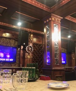 Loa karaoke HK PRO 15