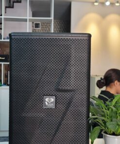 Loa Lucas audio PRO 12