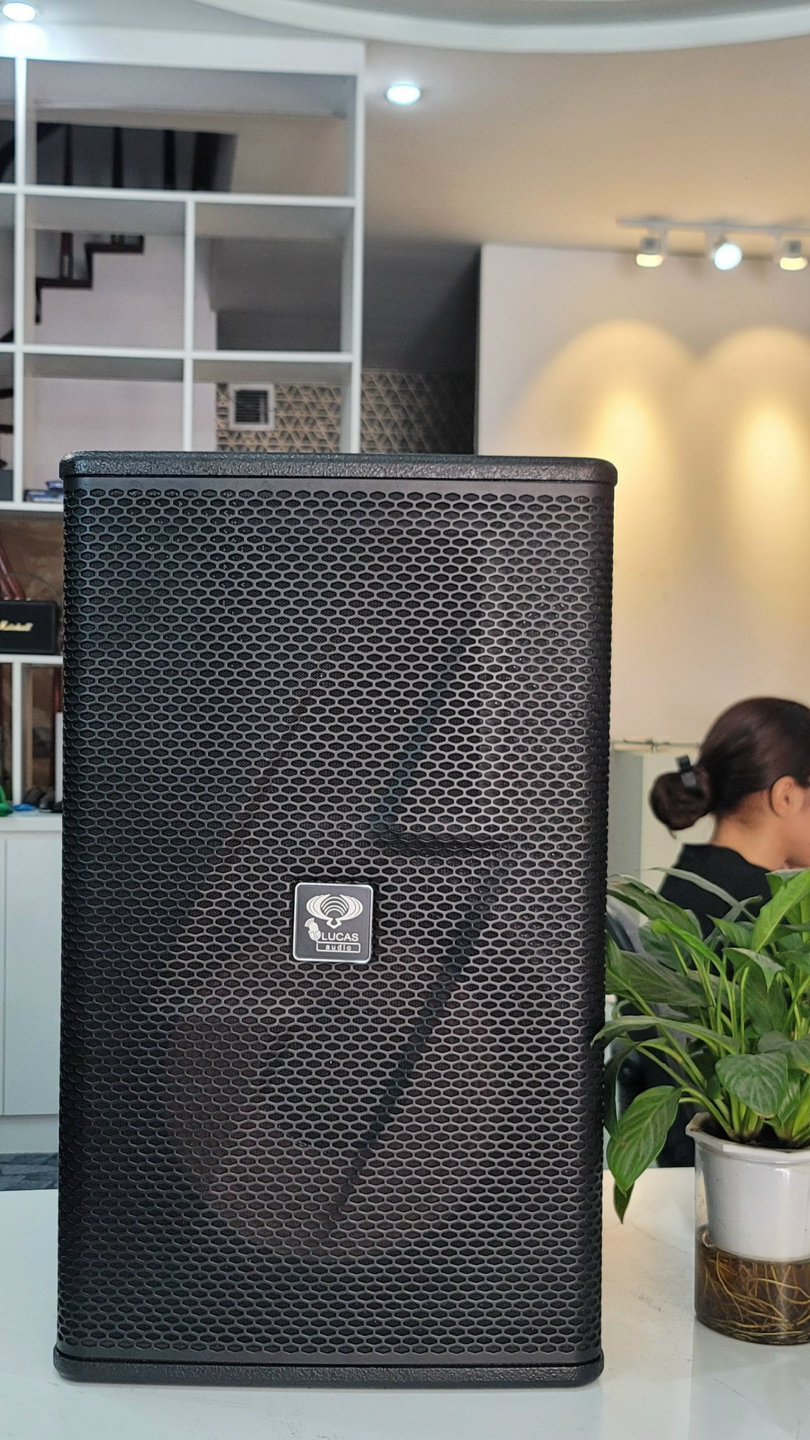 Loa Lucas audio PRO 12