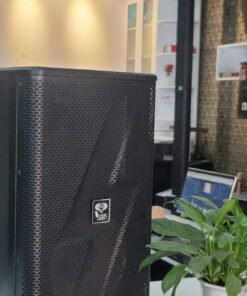 Loa Lucas audio PRO 12